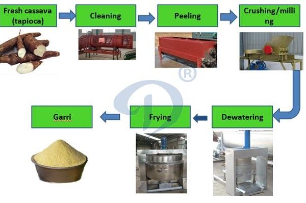 Cassava Processing in Amankwakrom Kwahu AFRAM PLAINS